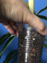 IMG_4560.jpeg