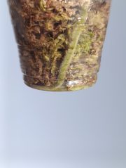 8974.jpg