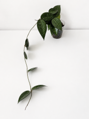 EFA7D841-3598-4E84-88C5-E232D8EC9141.PNG