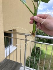 IMG_9180.jpeg