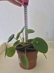 20260828_120944.jpg