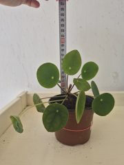 20260828_121216.jpg