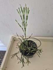 20260828_120217.jpg