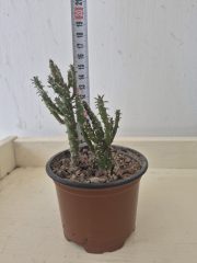 20260828_120455.jpg