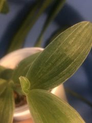 IMG_4632.jpeg