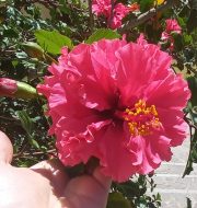 20240623_120529.jpg
