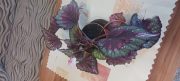 20260929_171320.jpg
