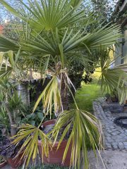 IMG_0285.jpeg
