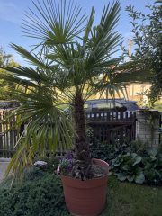 IMG_0287.jpeg