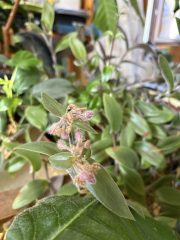 IMG_3495.jpeg