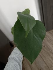 1000023710.jpg