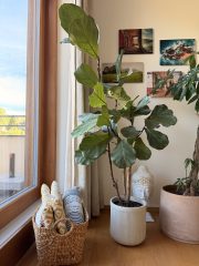 IMG_5157.jpeg