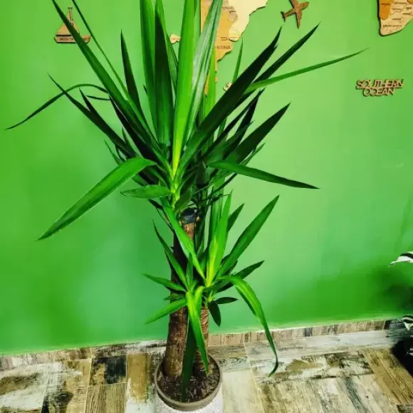 IMG_20221202_121845_756.webp