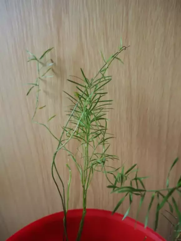 PC210589.webp