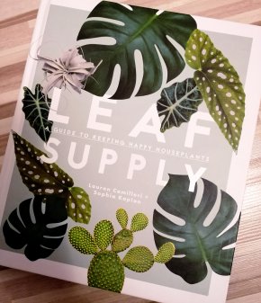 Leaf Supply: A Guide to Keeping Happy House Plants