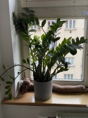 26C30652-CD3B-4FCE-8E61-E23EBBE8020B.jpeg