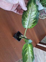 20230314_120419.jpg