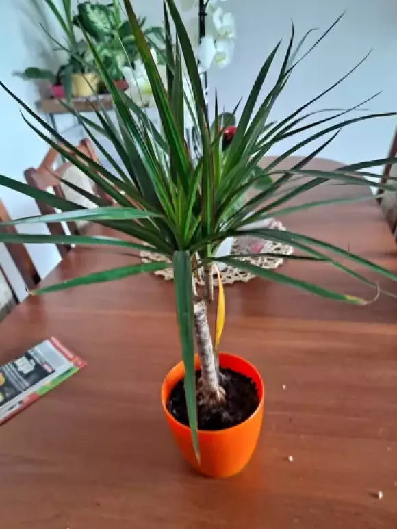 20230314_120444.webp
