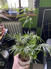 6EEDF05E-A6D7-48CB-85EB-DB20BA622590.jpeg