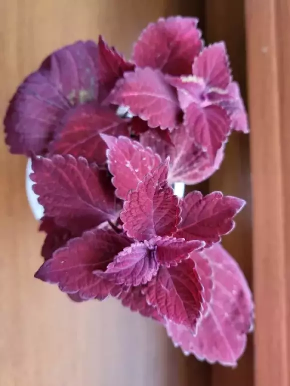 20230319_171459.webp