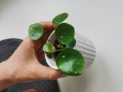 IMG_20230417_143353.jpg