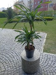 IMG-20220524-WA0002.jpg
