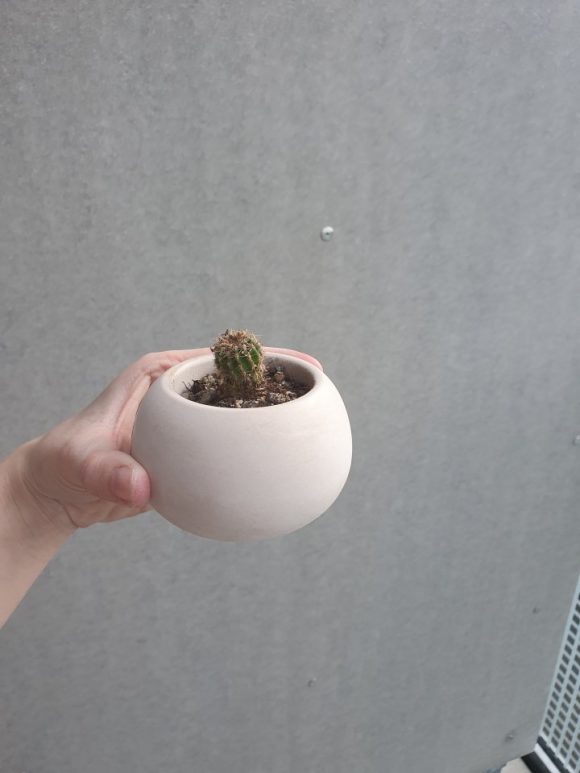 20230501_165143.jpg