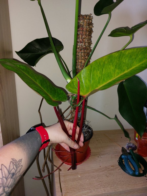20230501_170249.jpg