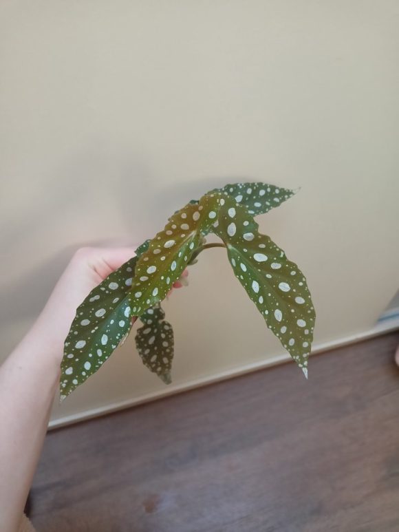 IMG20230505190425.jpg