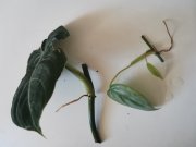 IMG_20230509_081637.jpg