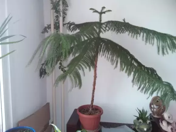 20230517_130102.webp