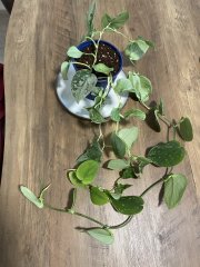IMG_1758.jpeg