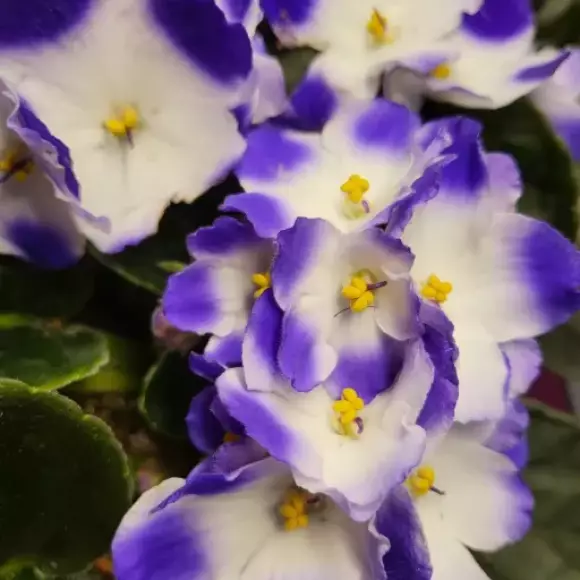 IMG_20230513_143112_122.webp