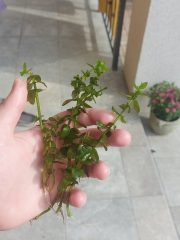 20230701_171107.jpg