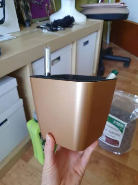 20230603_164007.jpg