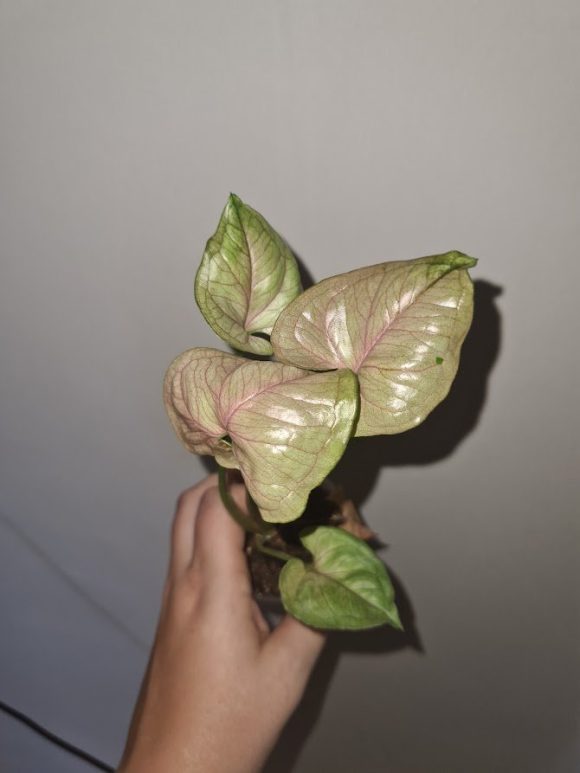 20230708_141656.jpg