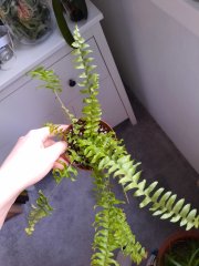 20220607_184048.jpg