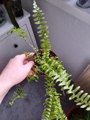 20220607_184044.jpg