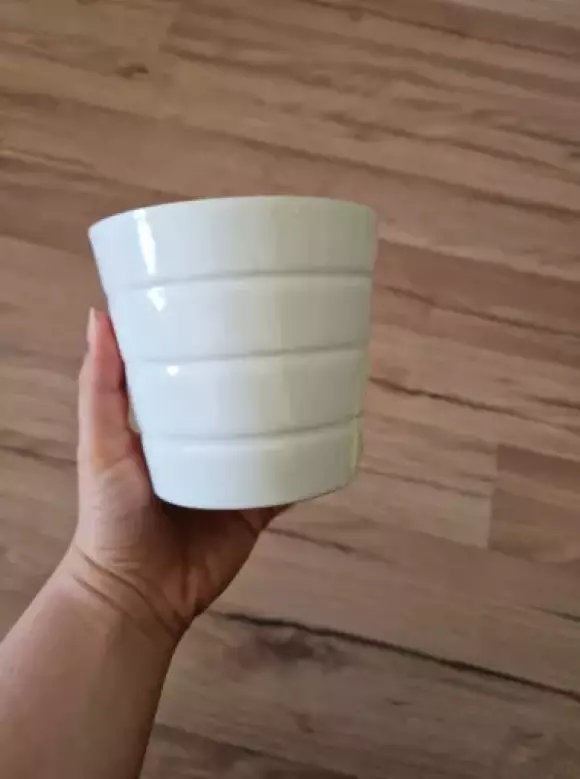 287584891_575675883907143_1727562934084180679_n.webp