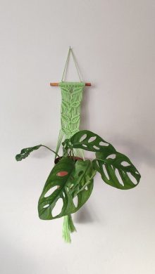 Zelený dekorativní závěs na květináč s rostlinkou