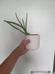 20230724_141902.jpg