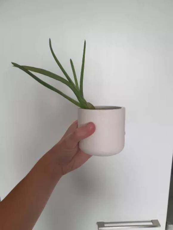 20230724_141902.jpg