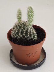 20230730_155727.jpg