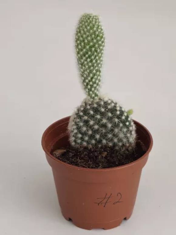 20230730_155122.jpg