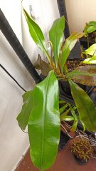 IMG_20230504_184207.jpg