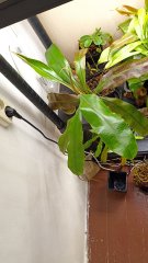 IMG_20230504_184142.jpg