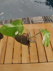 IMG_20230814_101441.jpg