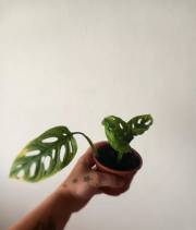 20230817_183504.jpg