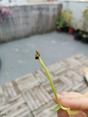 IMG_20230820_093842.jpg