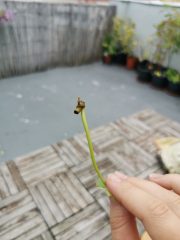 IMG_20230820_094001.jpg